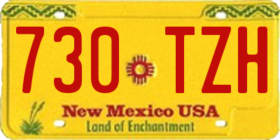 NM license plate 730TZH