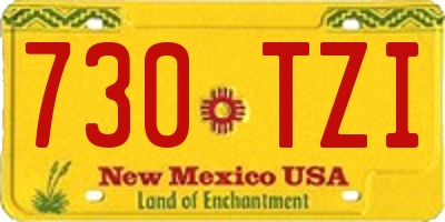 NM license plate 730TZI