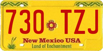 NM license plate 730TZJ