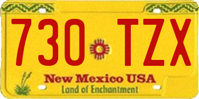 NM license plate 730TZX