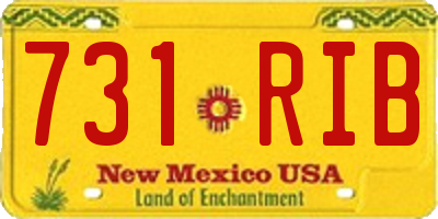 NM license plate 731RIB