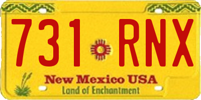 NM license plate 731RNX