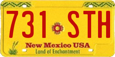 NM license plate 731STH