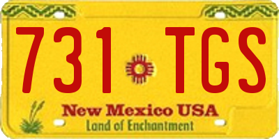 NM license plate 731TGS