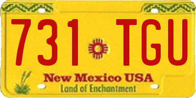 NM license plate 731TGU
