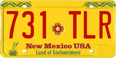 NM license plate 731TLR