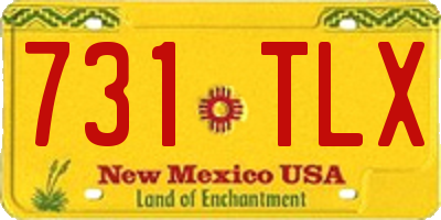 NM license plate 731TLX