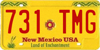 NM license plate 731TMG