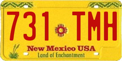 NM license plate 731TMH