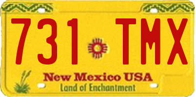 NM license plate 731TMX