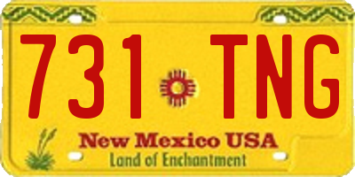 NM license plate 731TNG
