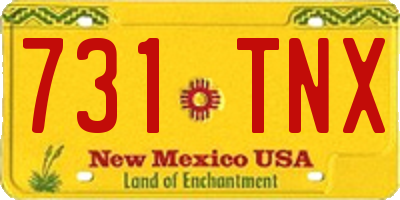 NM license plate 731TNX