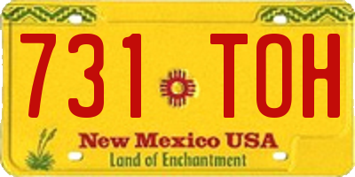 NM license plate 731TOH
