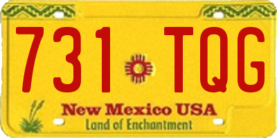 NM license plate 731TQG