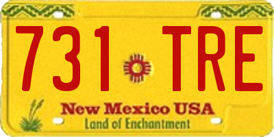 NM license plate 731TRE
