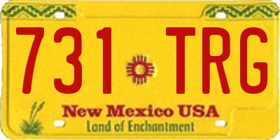 NM license plate 731TRG