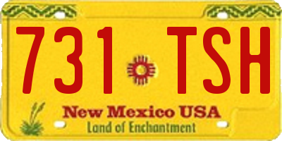 NM license plate 731TSH