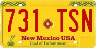 NM license plate 731TSN