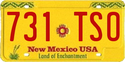NM license plate 731TSO