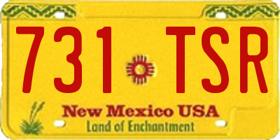NM license plate 731TSR