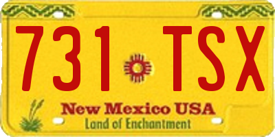 NM license plate 731TSX