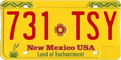 NM license plate 731TSY