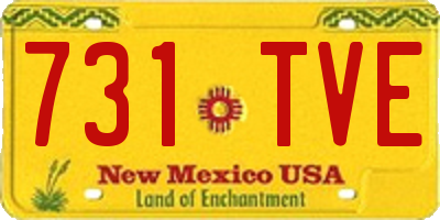NM license plate 731TVE