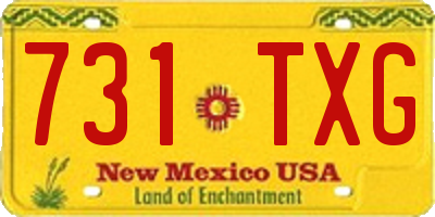 NM license plate 731TXG