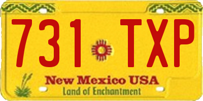 NM license plate 731TXP
