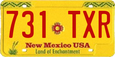 NM license plate 731TXR