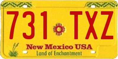 NM license plate 731TXZ