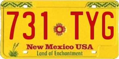 NM license plate 731TYG