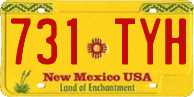 NM license plate 731TYH