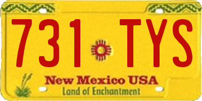 NM license plate 731TYS