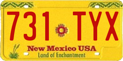 NM license plate 731TYX