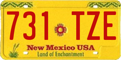 NM license plate 731TZE