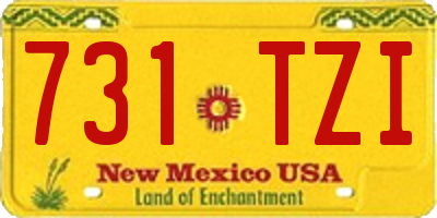 NM license plate 731TZI