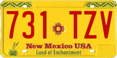 NM license plate 731TZV