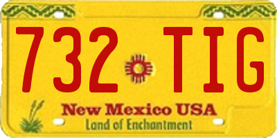 NM license plate 732TIG