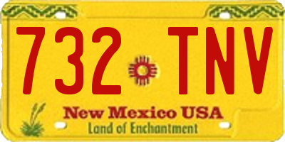 NM license plate 732TNV