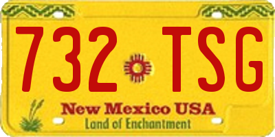 NM license plate 732TSG