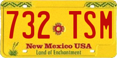 NM license plate 732TSM