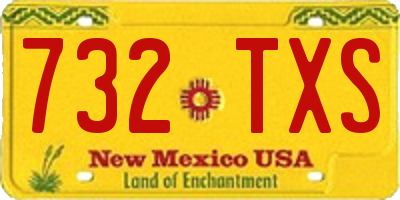 NM license plate 732TXS
