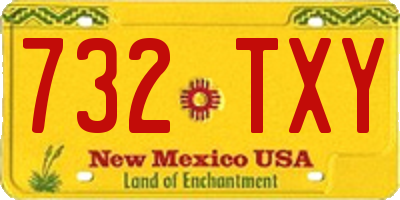 NM license plate 732TXY