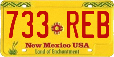 NM license plate 733REB