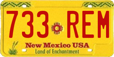 NM license plate 733REM