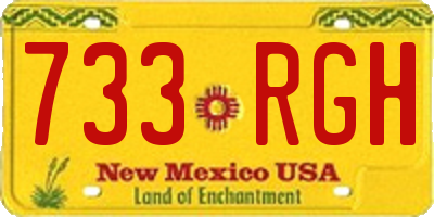 NM license plate 733RGH