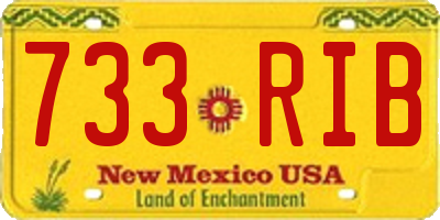 NM license plate 733RIB