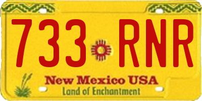 NM license plate 733RNR