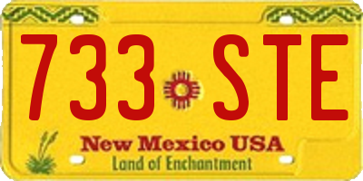 NM license plate 733STE